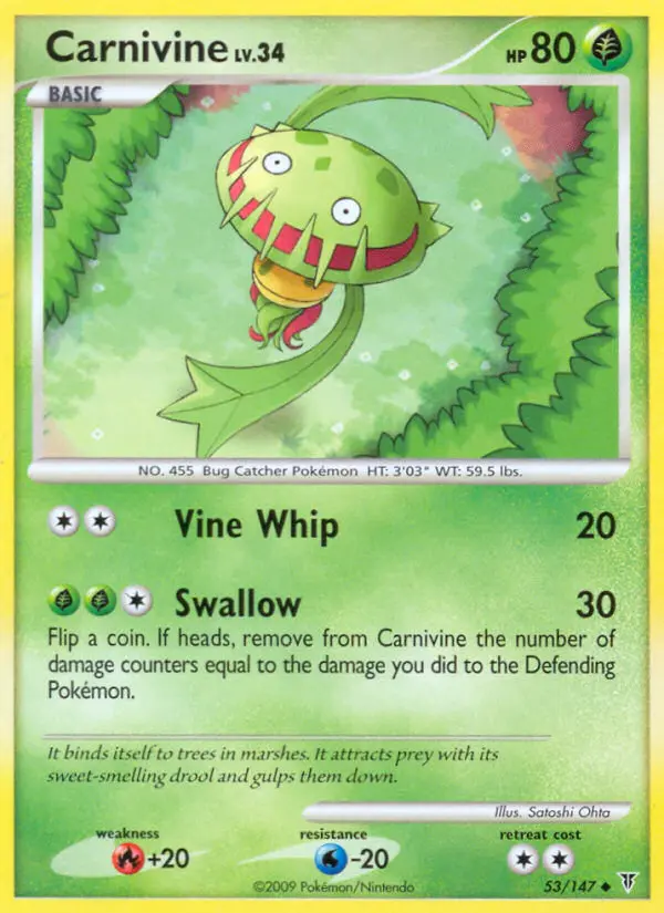 Venuflibis