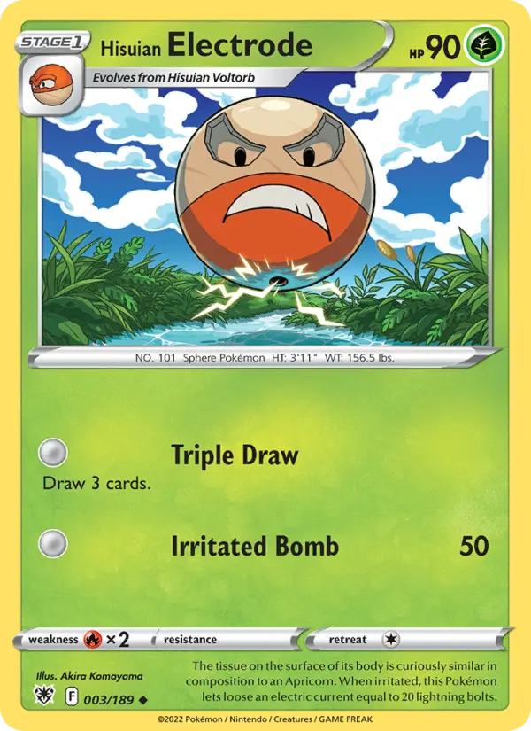 Electrode de Hisui